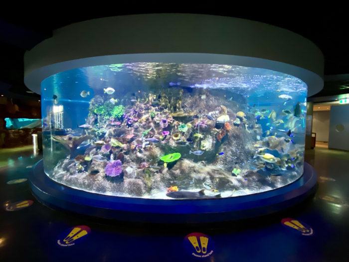 Sea Life Melbourne Aquarium Reopens Advanced Locker